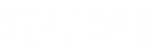 武汉市方军玩具